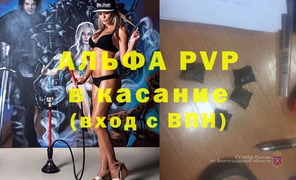СК Горнозаводск