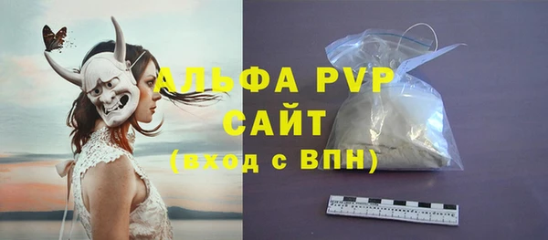 СК Горнозаводск