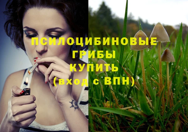 СК Горнозаводск