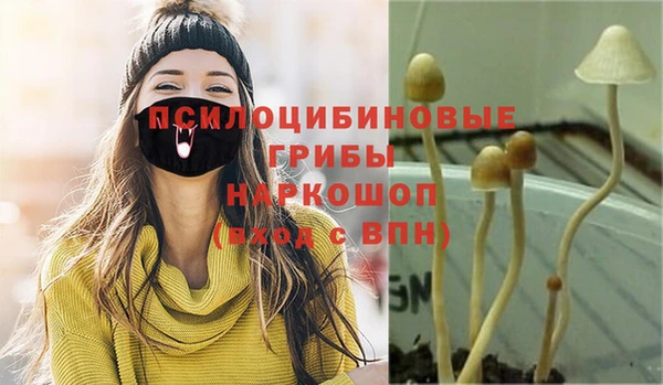 спиды Горняк