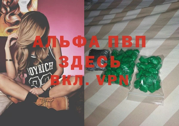 спиды Горняк