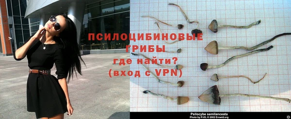 сатива Горно-Алтайск