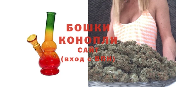 сатива Горно-Алтайск