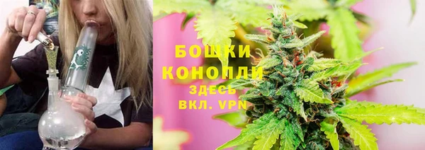 спиды Горняк