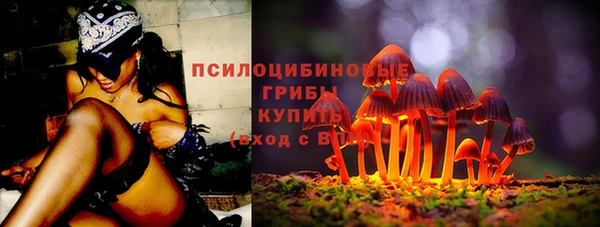 ECSTASY Вязники