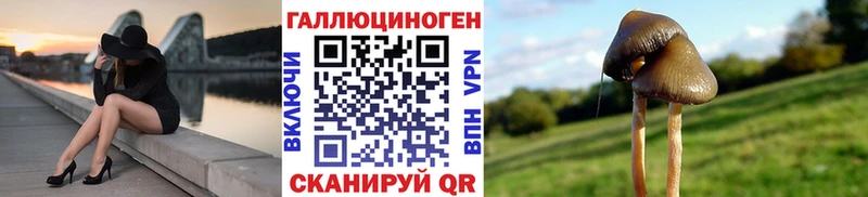 купить наркотики цена  Горячий Ключ  Галлюциногенные грибы Cubensis 